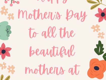 Tan Pink Mothers Day Floral Illustrative Instagram Story