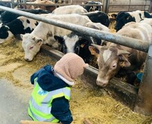 485646058 18131300008404537 9106109948752113327 n