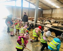 485527450 18131299960404537 8167179306044059697 n