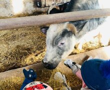 485359851 18131299933404537 4989708651499573716 n