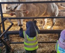 485107229 18131299924404537 2572214086406292864 n