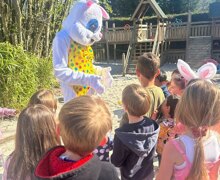 488816237 18133245547404537 8632164788390070421 n