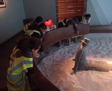 491452868 18134811091404537 2372478737380210517 n