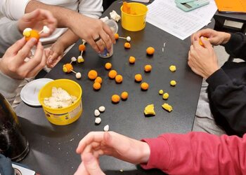 Hands-on- with- Chemistry 2025