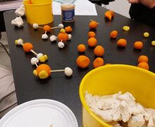 553217433 1361666182633346 5705856106275124856 n