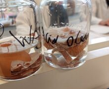 582065968 1410557844410846 3927005624786063294 n