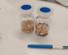 580801159 1410557827744181 5025228263102447540 n