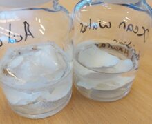 580015024 1410557794410851 9089093588543873928 n